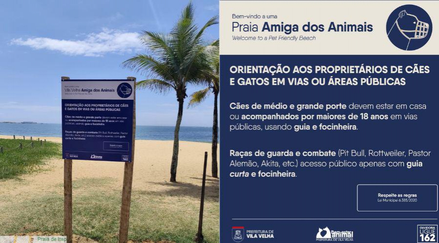 ​Vai passear com seu pet na orla? Conheça as regras do município