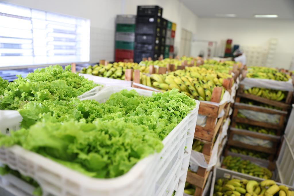 Banco de Alimentos da Serra arrecada 72 toneladas no primeiro semestre de 2025