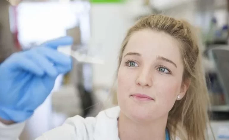 Veneno de abelha mostra potencial promissor contra o câncer de mama mais agressivo