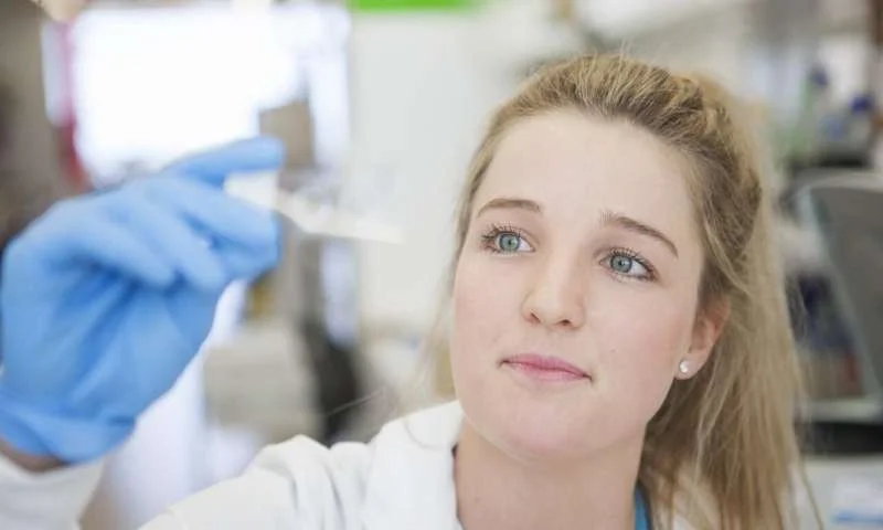 Veneno de abelha mostra potencial promissor contra o câncer de mama mais agressivo